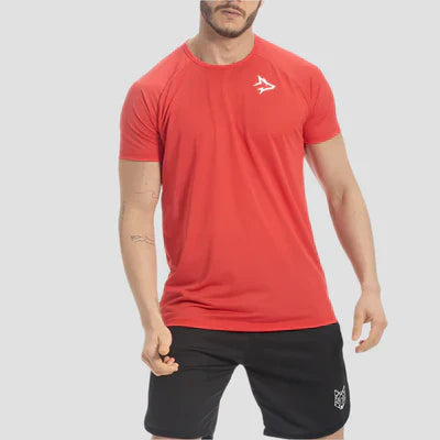 Kit 6 Camisetas Tons Vibrantes