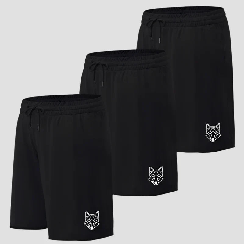 Kit 3 Shorts Pretos Dry Fit Lobo