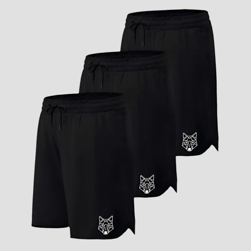 Kit 3 Bermudas Pretas Dry Lobo